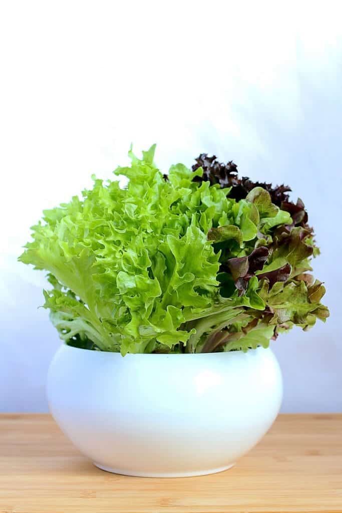 How to grow grow lettuce container .