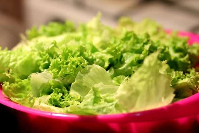 fresh harvested lettuce in bowl
