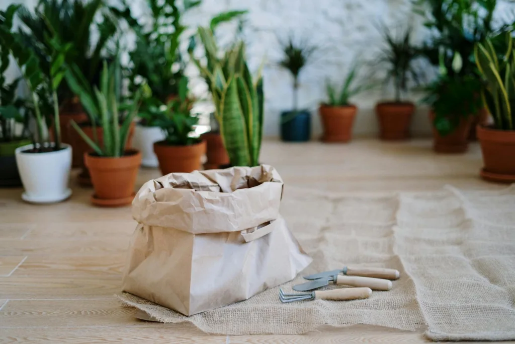 Using fabric grow bags. best pots for indoor plant